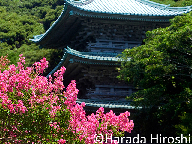 龍口寺