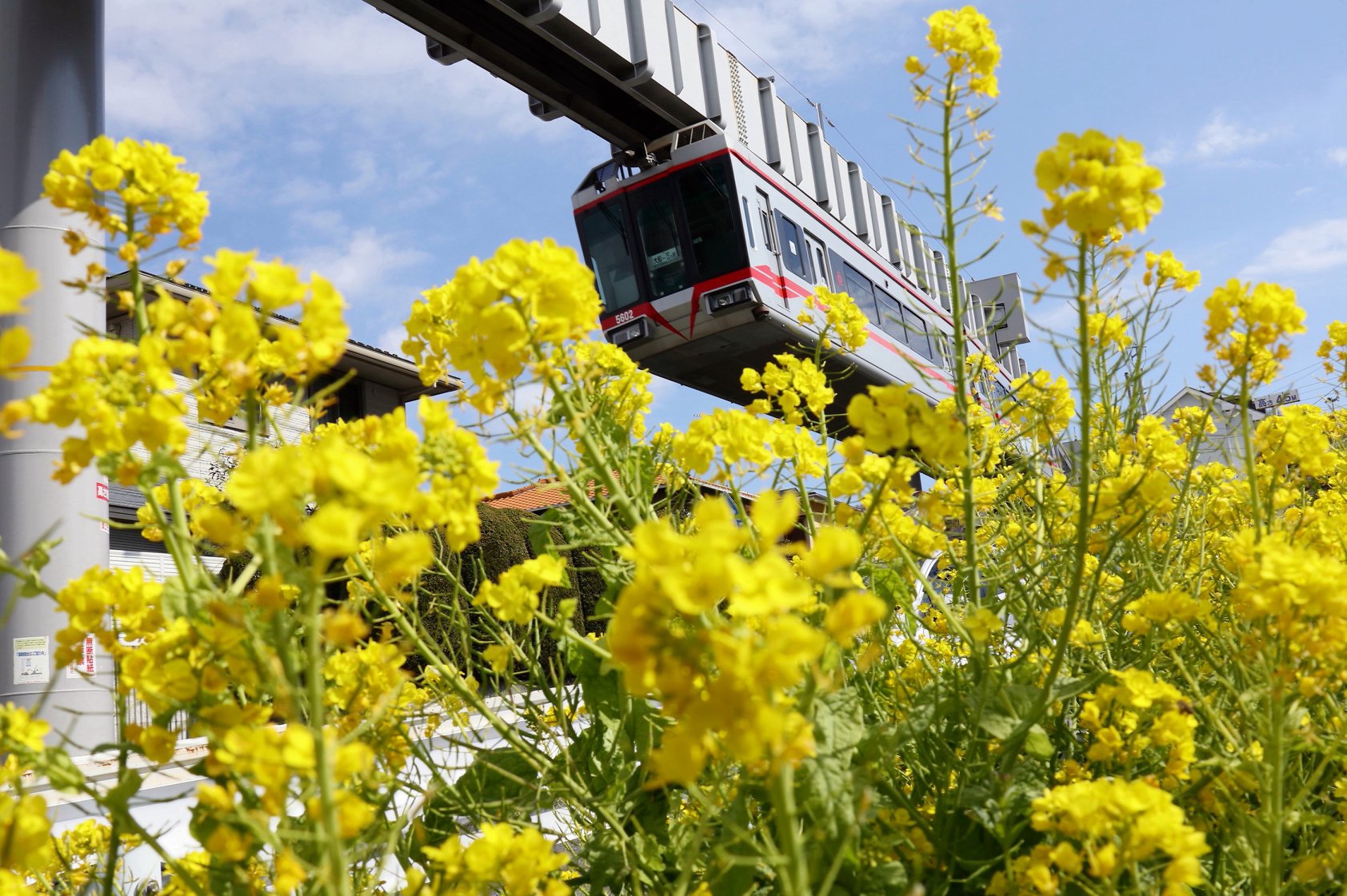 http://www.shonan-monorail.co.jp/news/upload/28698993_332519530488000_1643004595179544438_o.jpg