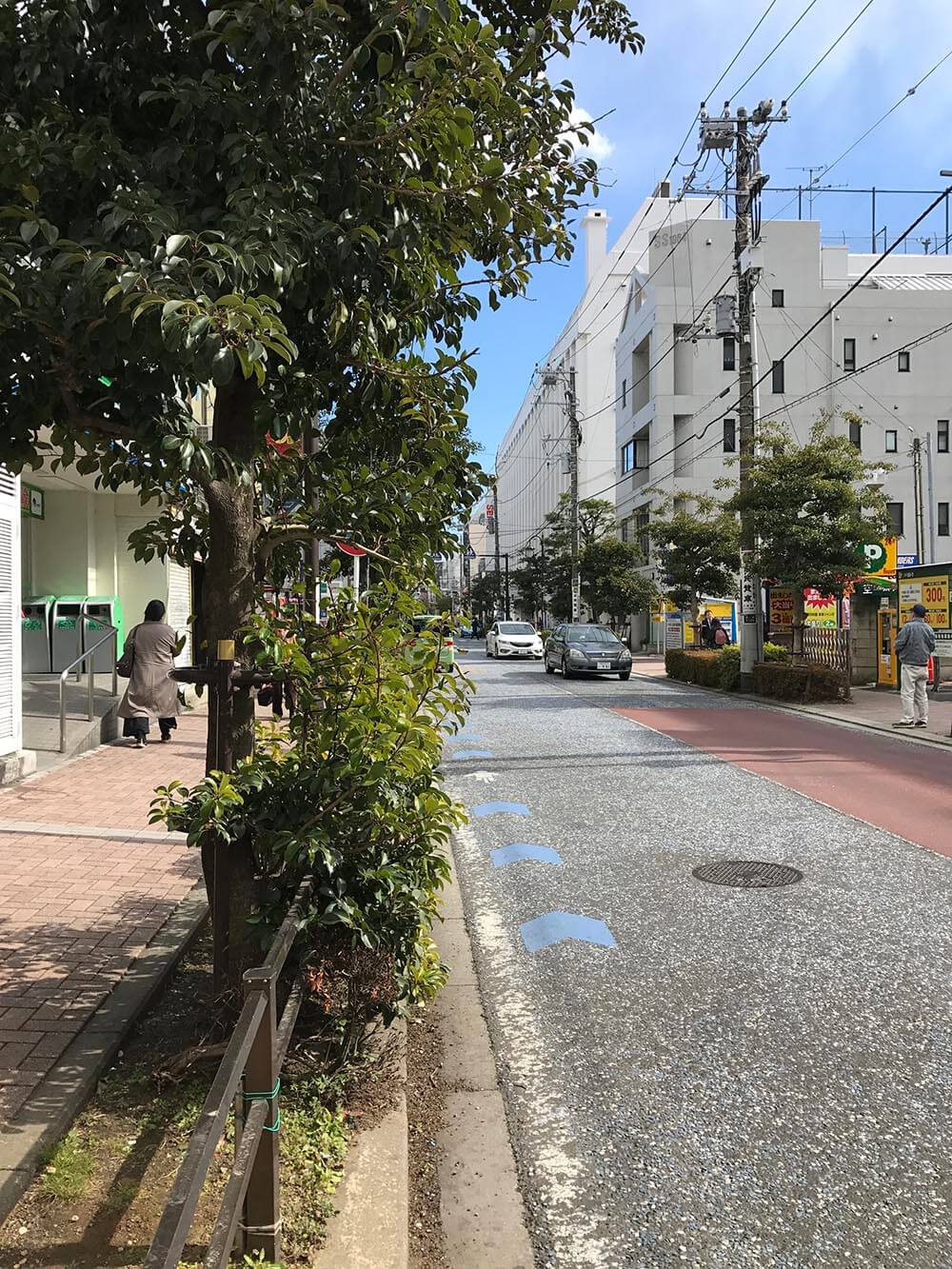 13松竹通り現在の樹.JPG