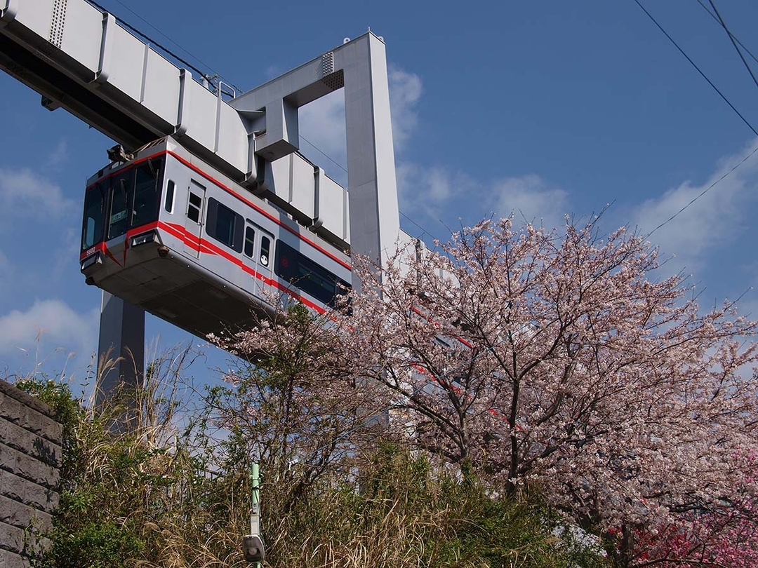 桜と5601.jpg