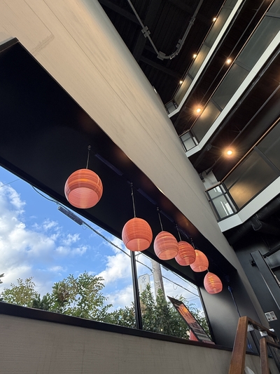 IMG_3562.JPGのサムネイル画像