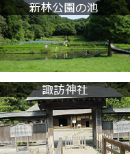 諏訪神社・新林公園の池