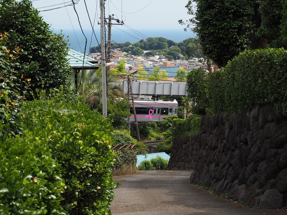 海の見える坂道（優秀賞).jpg