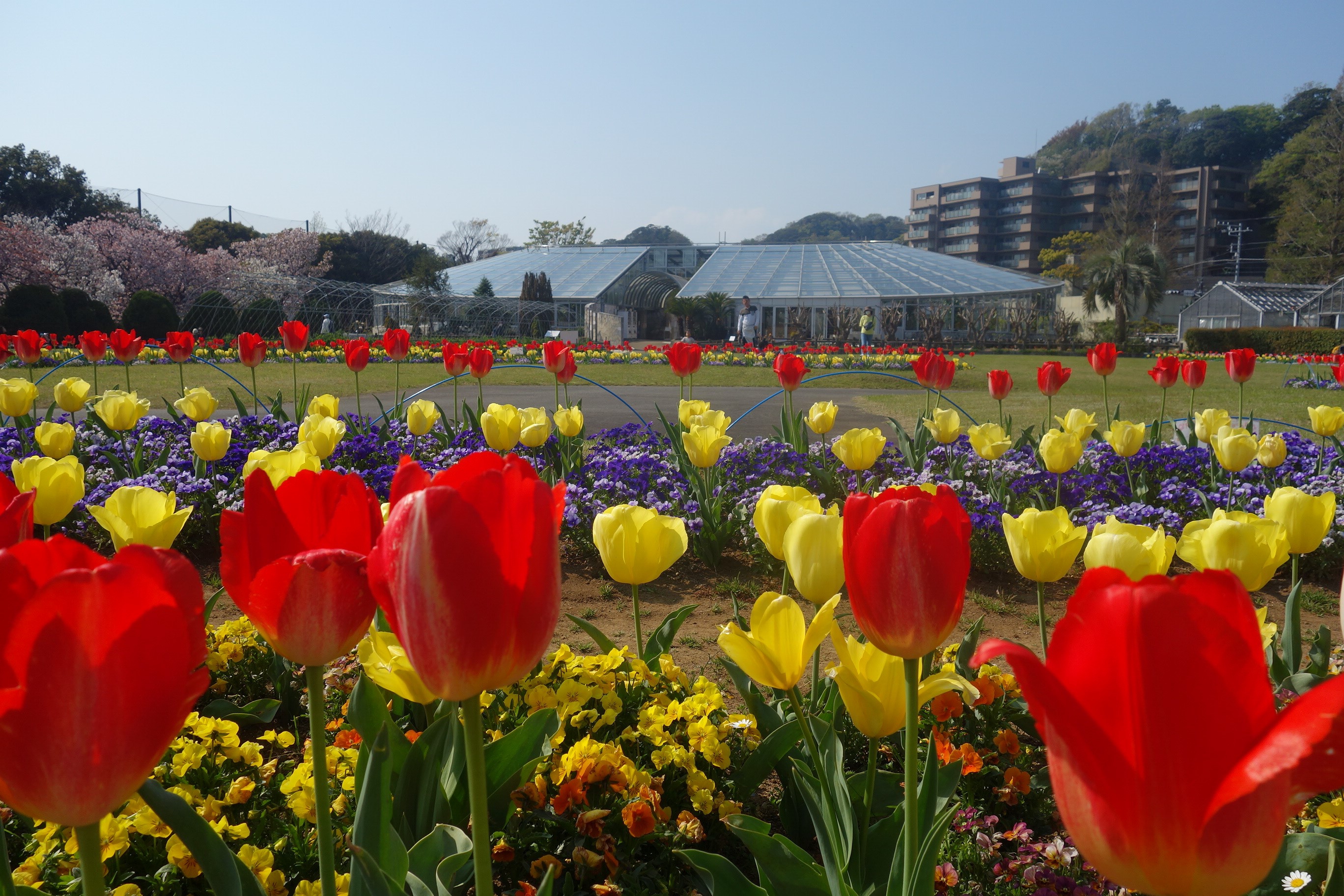 https://www.shonan-monorail.co.jp/news/upload/7822cc5ccf72d60aae0a95776329767ad5871db2.jpg