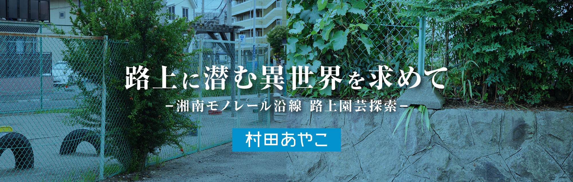 路上に潜む異世界を求めて ー湘南モノレール沿線 路上園芸探索ー 村田あやこ