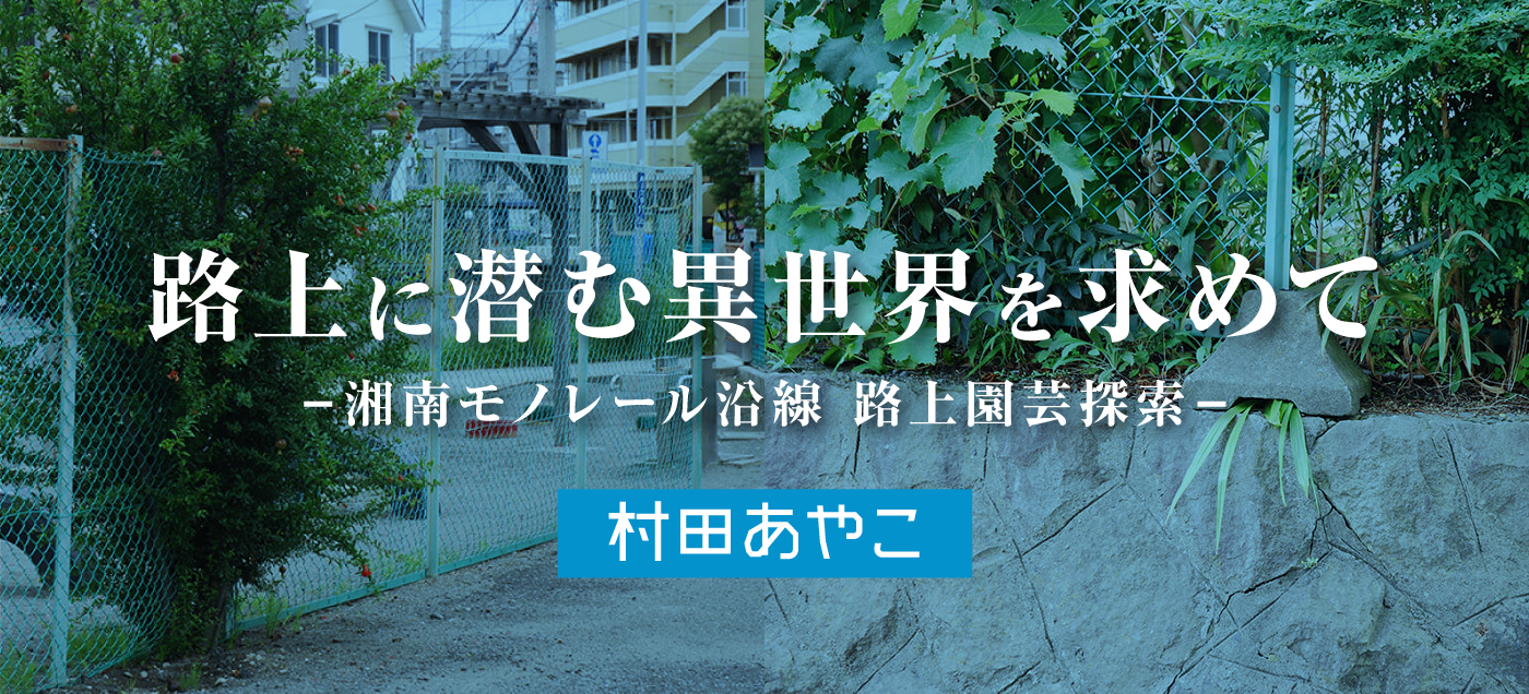 路上に潜む異世界を求めて ー湘南モノレール沿線 路上園芸探索ー 村田あやこ