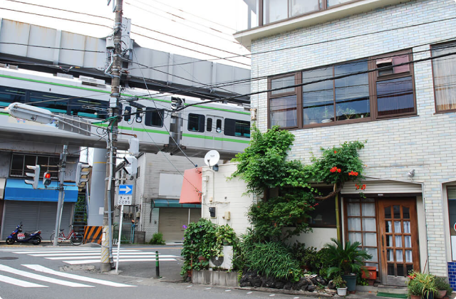 サバンナに巨大イカ　＜湘南深沢編＞ 