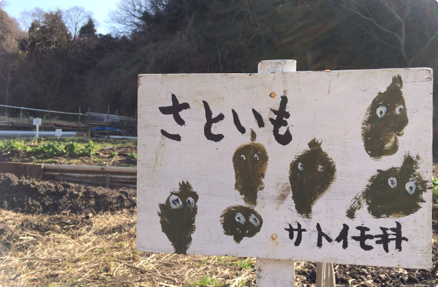 広町緑地で生き物探し（冬）-前編