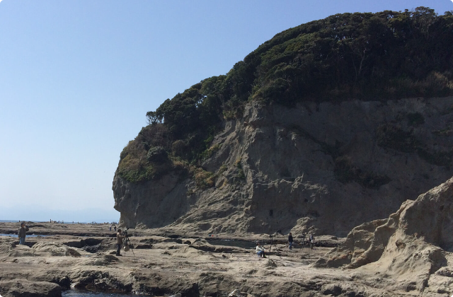 磯の生き物観察＠江の島（初春）-後編