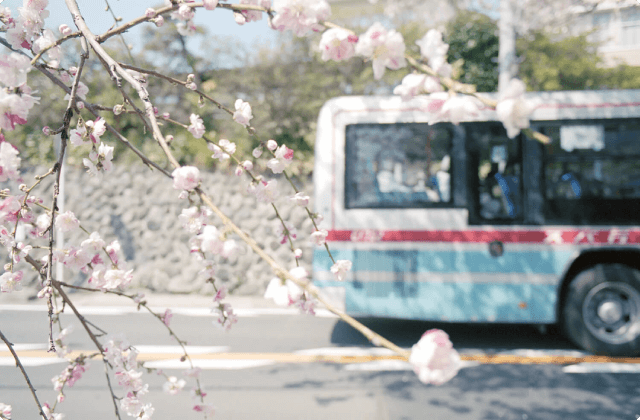 夫婦池公園