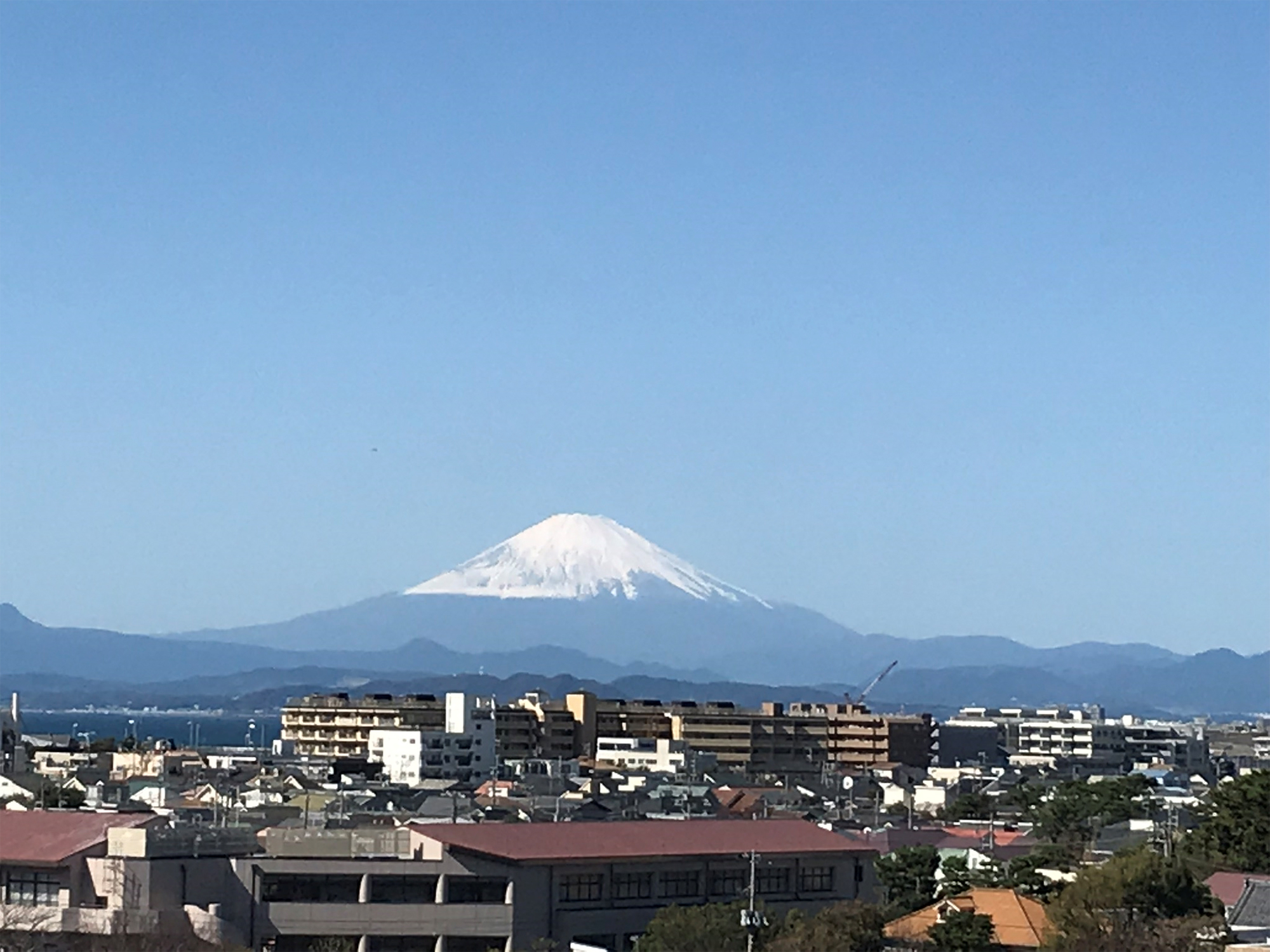 湘南江の島駅は、日本一高い駅だった！？〜日本一、地上高が高い駅はどこか？