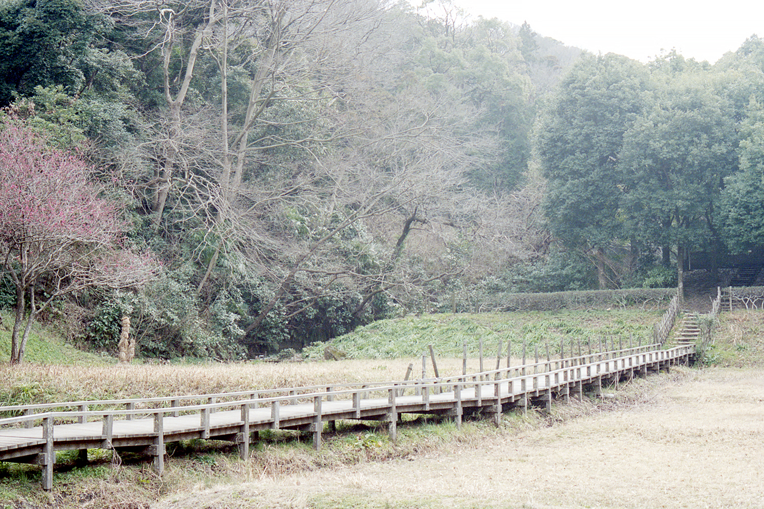 公園を出てPINYへ