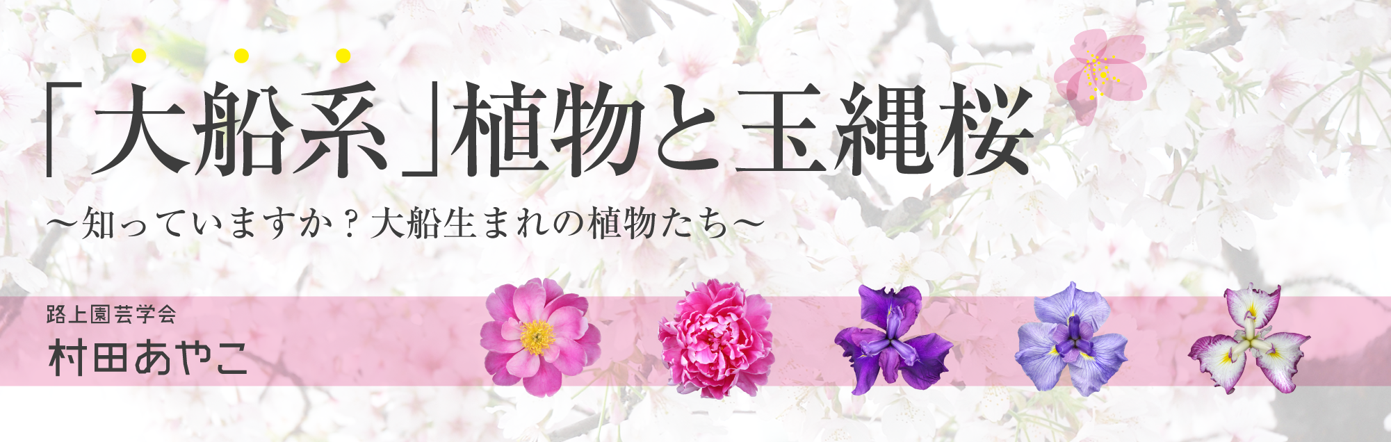 「大船系」植物と玉縄桜～知っていますか？大船生まれの植物たち～ 村田あやこ（大船系植物編）