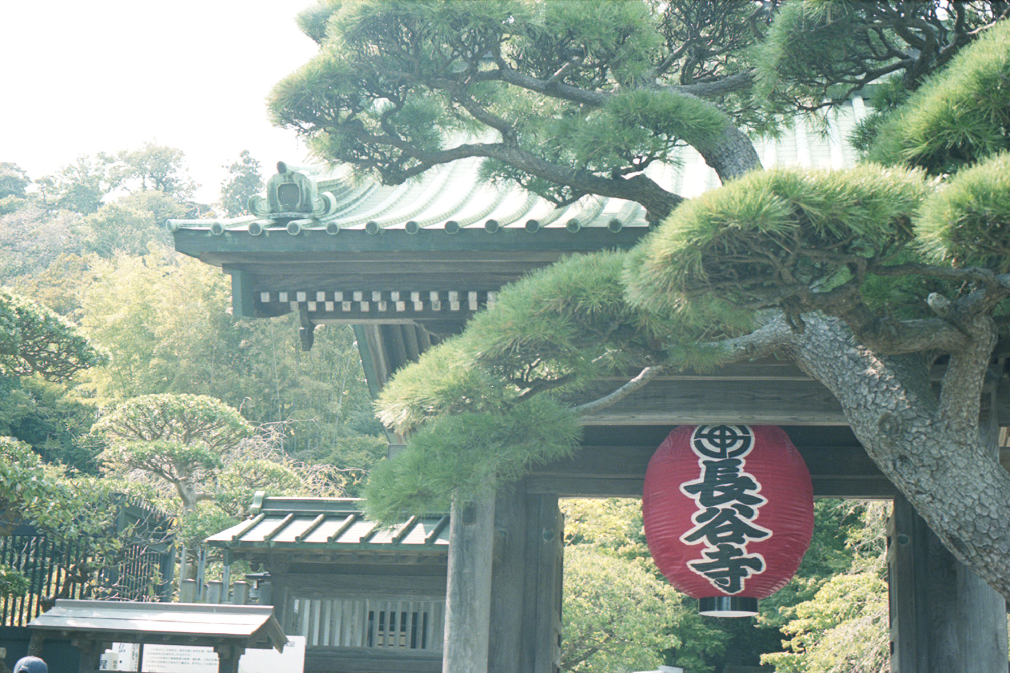 長谷寺と陶芸体験