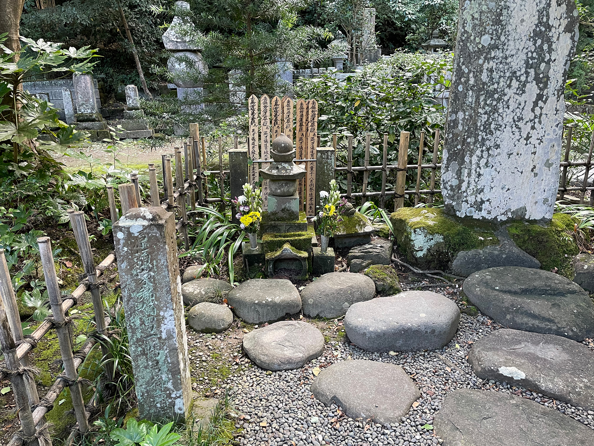#08　『鎌倉殿の13人』ゆかりの史跡を訪ねる（妙本寺）