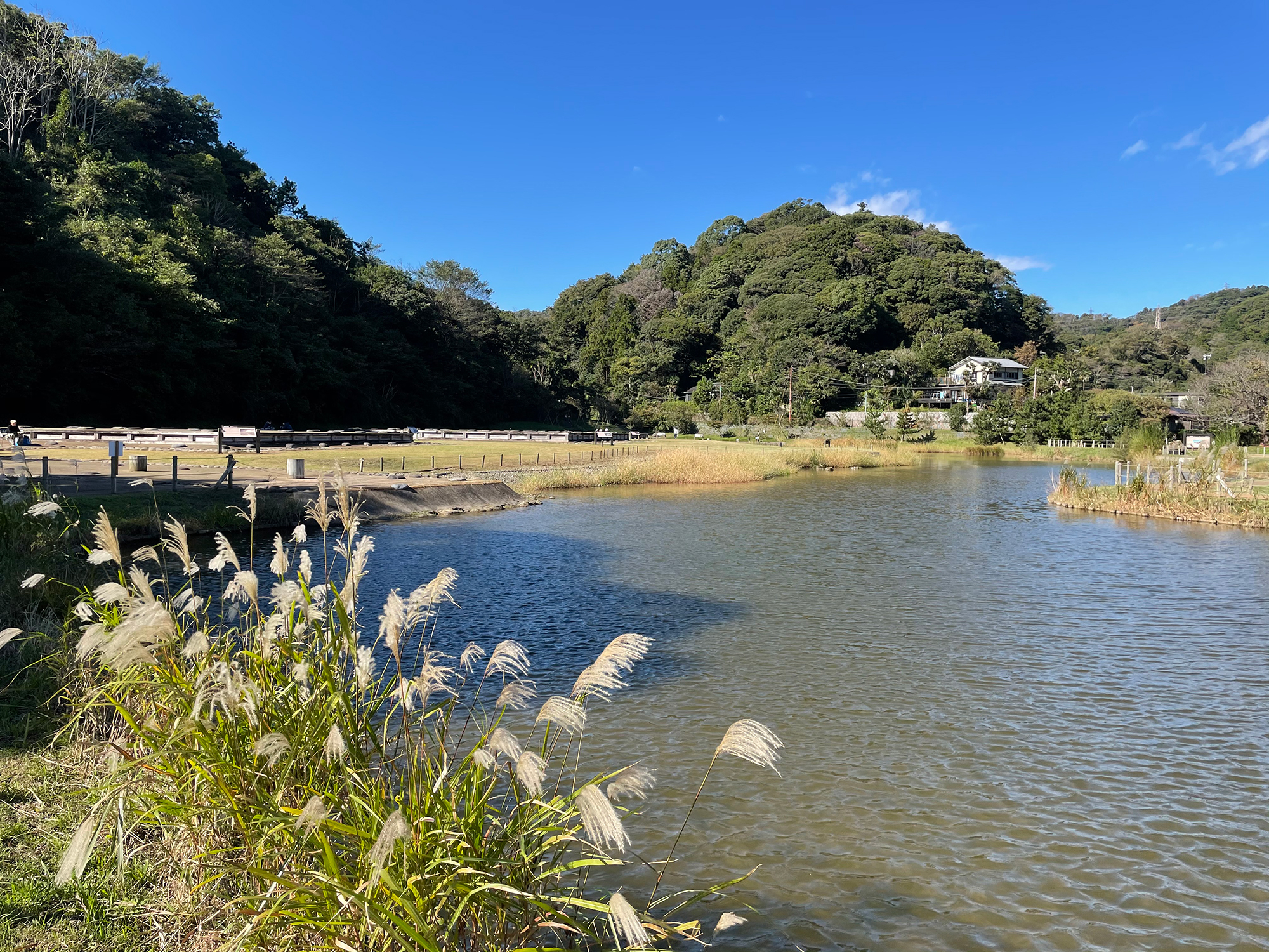 #11　「鎌倉殿と十三人の御家人」のゆかりの史跡を訪ねる（覚園寺と永福寺跡）