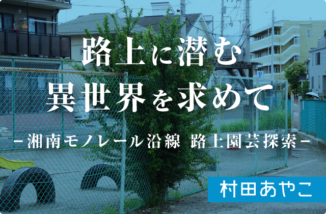 路上に潜む異世界を求めてー湘南モノレール沿線 路上園芸探索ー 村田あやこ