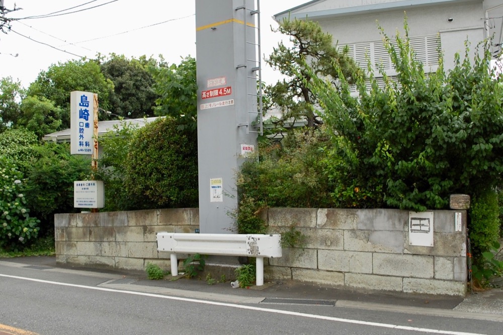 image6.jpg