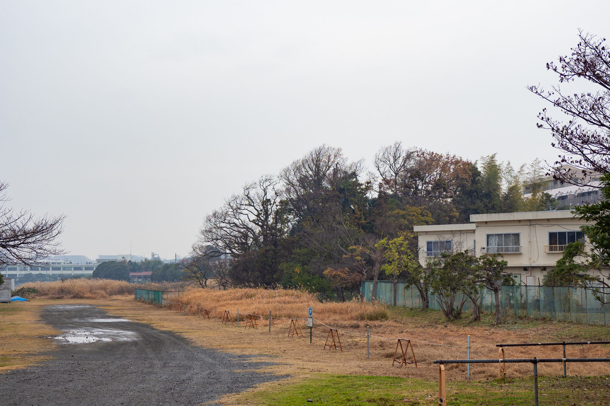 ogikubo_kodou3_03.jpg