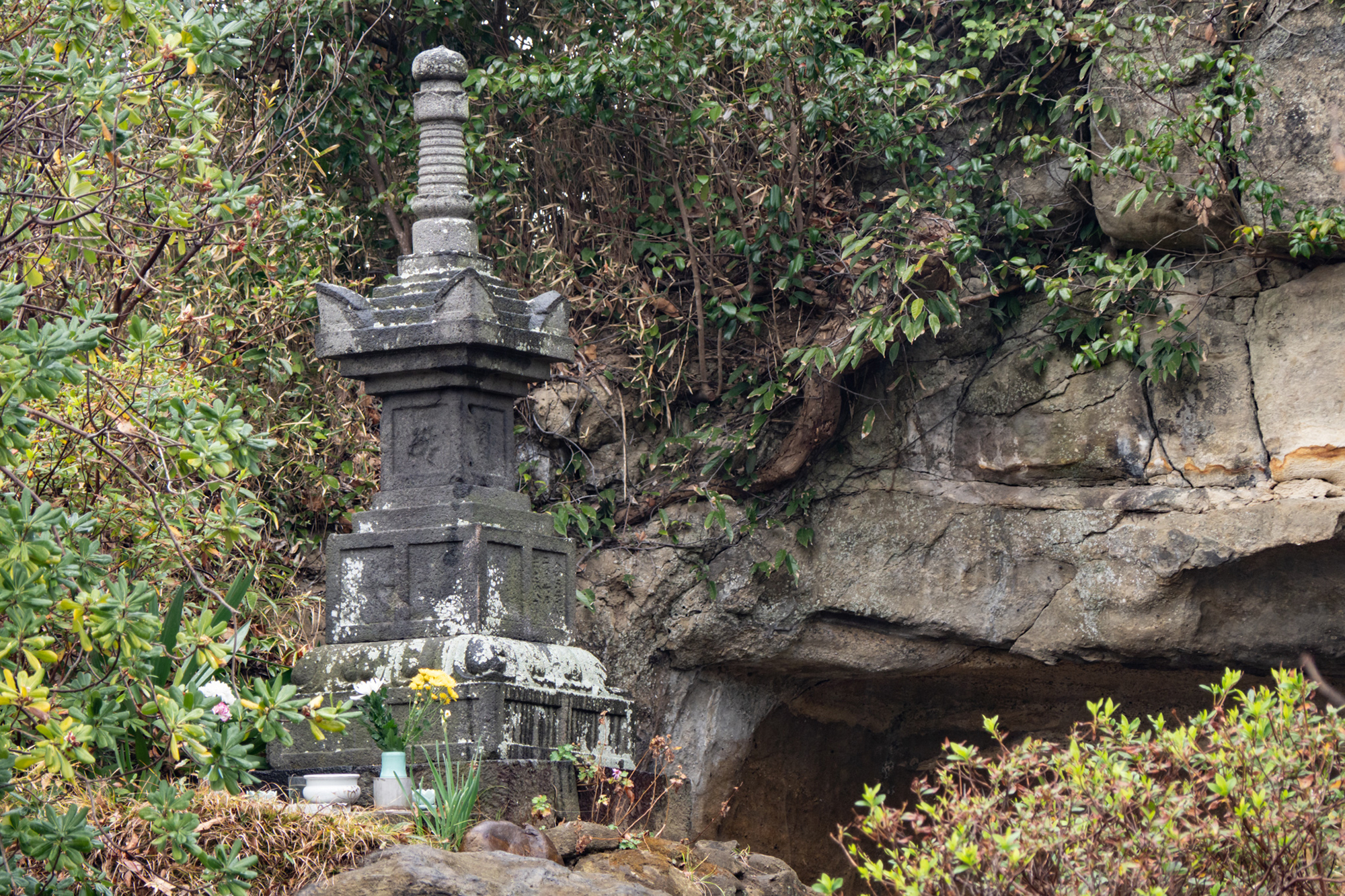 ogikubo_kodou3_05.jpg