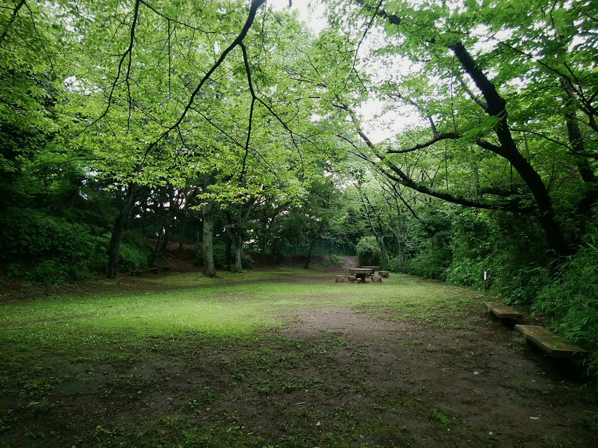 現在の跡地。訪れる人は少ない（片瀬山公園）