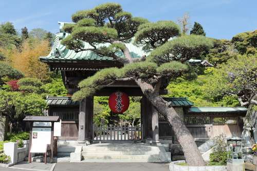 鎌倉長谷寺＿山門 (4).JPGのサムネイル画像